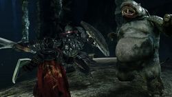 Dark Souls II: Scholar of the First Sin