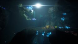 Darwin's Paradox! PS5