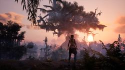 South of Midnight Weaver's Edition PS5