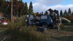 DayZ + Livonia для PS4  PS5