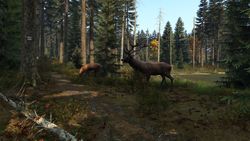 DayZ + Livonia для PS4  PS5