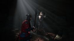 The Blood of Dawnwalker PS5