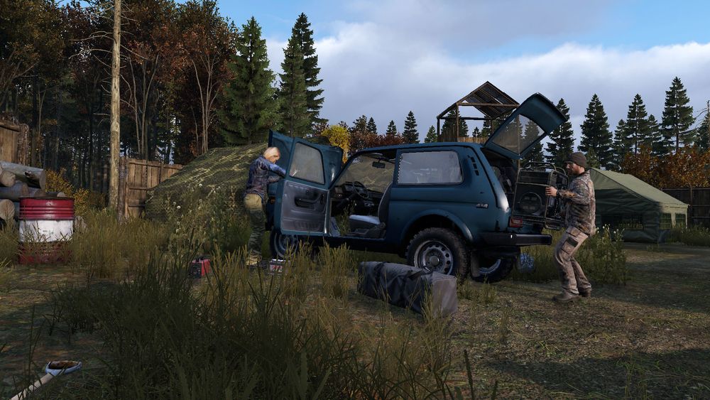 DayZ + Livonia для PS4  PS5