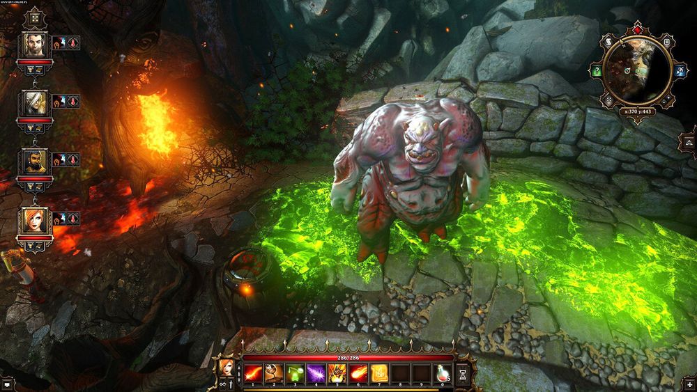 Divinity Original Sin Enhanced Edition PS4 PS5