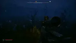 S.T.A.L.K.E.R. 2: Heart of Chornobyl PS5