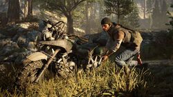 Жизнь После Days Gone Цифровое расширенное издание