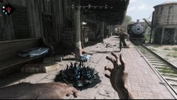 Hunt: Showdown Legendary Edition